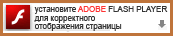 Установить Adobe Flash player